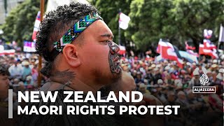 More than 40000 protest New Zealand Maori rights bill [upl. by Anyotal]