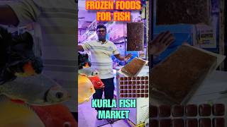 Best Food For Aquarium Fish  Frozen Food [upl. by Eralcyram780]