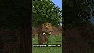 LA DIMENSIÓN DE LAS ABEJAS EN MINECRAFT [upl. by Ronile]