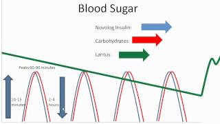 Food and Your Blood Sugar  Lantus and Novolog  Diabetes Center for Children at CHOP [upl. by Skip]