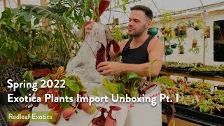 Spring 2022 Exotica Plants Box Opening Pt I [upl. by Acysej476]