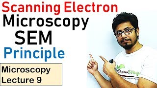 Scanning electron microscope principle working SEM [upl. by Seton]