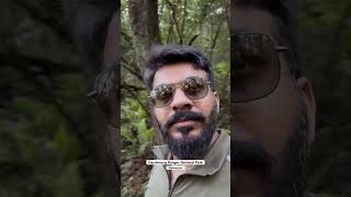 Dandenong Ranges National Park  dandenongranges travelvlog traveling travel melbourn [upl. by Anyaled]