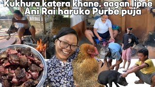 Kukhura katera polera pakayera khanu dine kt  Aagan lipne kaam ani Purbe puja [upl. by Einamrej]