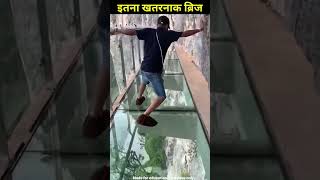 Glass bridge Facts factshorts facts [upl. by Gulgee]