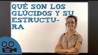 Qué son los glúcidos y su estructura [upl. by Sutniuq873]