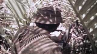 SEAL Team One May 291970 Vietnam full [upl. by Sabelle]