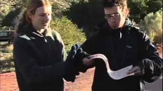 Monocline Explained Capitol Reef National Park [upl. by Anaej]