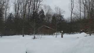 Gypsy Trail Winter Rentals at Allegany State Park by Paul Crawford [upl. by Liddle591]