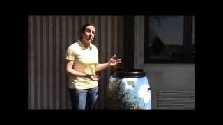 Installing a rain barrel with a diverter [upl. by Ojillib]