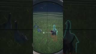 💎 GREYLAG GOOSE SALZWIESENcotw thehuntercotw thehunter callofthewildgameplay ps5 gaming [upl. by Wehtam447]