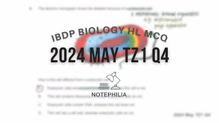 IB Biology HL 2024 May TZ1 Paper 1 Q4 [upl. by Mazur]