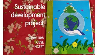 Sustainable development project SST  Class 10  CBSE  NCERT [upl. by Slyke]