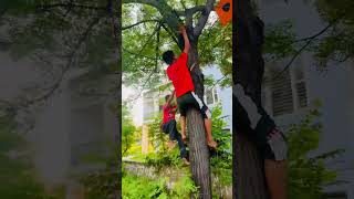 Children try to kite looting from tree 🌲🪁kiteflying kite patang patangbazi [upl. by Fergus]