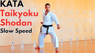 First Karate Kata  TAIKYOKU SHODAN front back side🥋🔥 [upl. by Sneve]