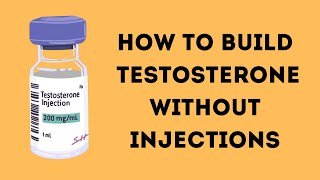 HOW TO Increase Your Testosterone Naturally [upl. by Easlehc408]