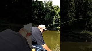 GRASS CARP INHALES CRANK BAIT trending fishing carp shortvideo viralshort shorts [upl. by Tocs]