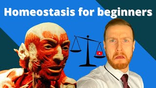 HOMEOSTASIS Fundamentals AQA ALevel Biology [upl. by Lesab56]