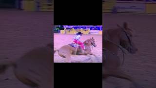 Barrel Racing  shorts cowboy horse barrelracing barrelhorse barrelracer fypviral fyp nfr [upl. by Prudie293]