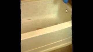 Fiberglass Shower Stall Refinish [upl. by Rad]