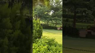 Serene 🌿🌿🌿greenscreen travel beautiful garden artofliving song music akshaykumar sainik [upl. by Gurias]