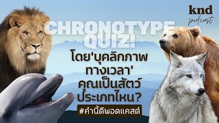 Chronotype Quiz โดย ‘บุคลิกภาพทางเวลา’ คุณเป็นสัตว์ประเภทไหน  คำนี้ดี EP966 [upl. by Ocana903]