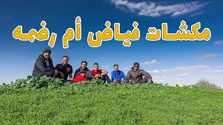 مكشات فياض أم رضمه [upl. by Tallia]