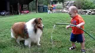 baby and dog play with hose [upl. by Ahsaet208]