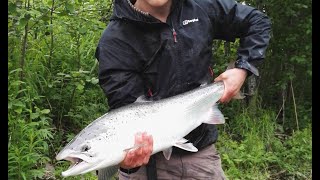 Fiske i Salangselva 2017  Caught Silver Salmon in Salangen [upl. by Harriett]