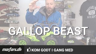 Kom godt i gang med Gallop Beast [upl. by Lebana]