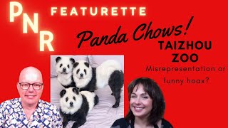 🌟Featurette🌟 Taizhou Zoo Panda Chows [upl. by Ykcin]