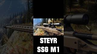 STEYR SSG M1 Vorstellung  Way of the Hunter [upl. by Nnairda]