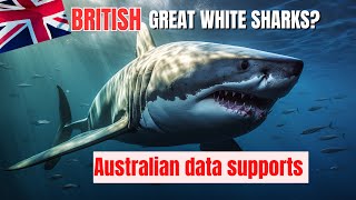 AUSSIE Tag data supports viability of BRITISH GREAT WHITE SHARKS 🦈 [upl. by Shanahan]