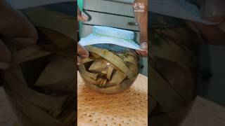 how to culture infusoria with banana leaf how howto culture infusoria bettabreeding shorts [upl. by Ohnuj]