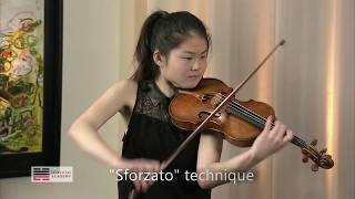 VIOLIN MASTERCLASS excerpt YSAYE SONATA No 6  SFORZATO CLIMAX [upl. by Meijer]