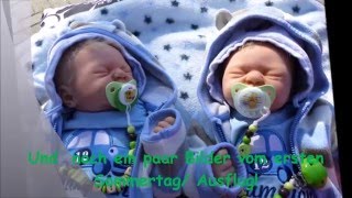 Mein erstes Video  Meine Zwillinge Noah amp Elia  Reborn Baby Deutsch  Little Reborn Nursery [upl. by Orion]