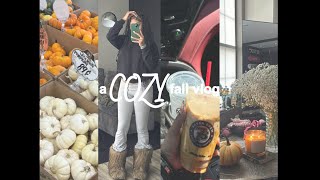 cozy fall vlog 🍂 fall shopping seasonal drinks  bake with me [upl. by Ahsieym955]