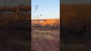 Iron Ore Train  Train Watching  Newman WA  Pilbara [upl. by Brig]