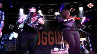 Flogging Molly  Salty Dog  Live in Sydney  Moshcam [upl. by Eldredge]