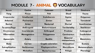 ANIMAL VOCABULARY FOR IELTS [upl. by Ahsiatal]