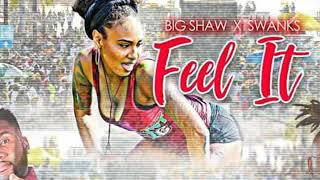 Feel it FtShaw X Swanks STT Carnival 2018 [upl. by Saberio770]