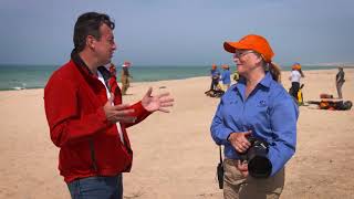 Explore TV  Sable Island National Park Reserve Nova Scotia [upl. by Godderd]