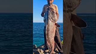 LO LOGRO PERO A QUE COSTO extremefishing fishing fail [upl. by Bayard]