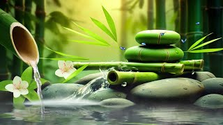 Relaxing Sleep Music  Insomnia Stress Relief Relax Sleep Spa amp Meditation Music Heart Healing [upl. by Drisko]