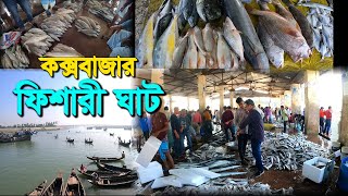 Vlogs147  কক্সবাজার বিশাল মাছের আড়ৎ এ হরেক রকম মাছ  Chaka Bazar  Coxs bazar fishery ghat 2024 [upl. by Couture81]