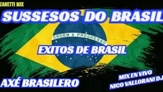 Sussesos Do Brasil Exitos de Brasil Axé Brasilero Mix En Vivo Nicolas Vallorani dj Zanetti Mix [upl. by Kesia479]