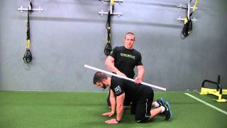 Parabolic Performance Exercise Series The Bear Crawl [upl. by Ladnar]