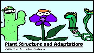 OLD VIDEO Plant Structure and Adaptations [upl. by Sergeant]