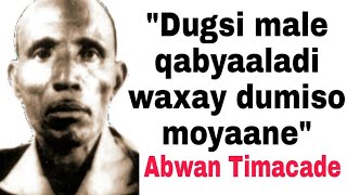 quotDugsi male qabyaaladi waxay dumiso moyaanequot Abwaan Cabdilaahi Suldaan Timacade Lyrics [upl. by Adnoral]