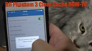 DJI Go App Clear Video Cache amp Photo Cache Tutorial [upl. by Naujud766]